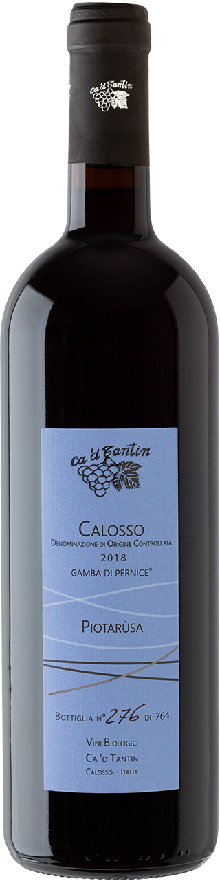 tantin_Calosso